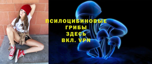 прущие грибы Армянск
