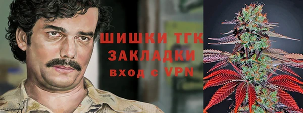 прущие грибы Армянск