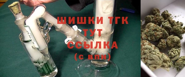 прущие грибы Армянск