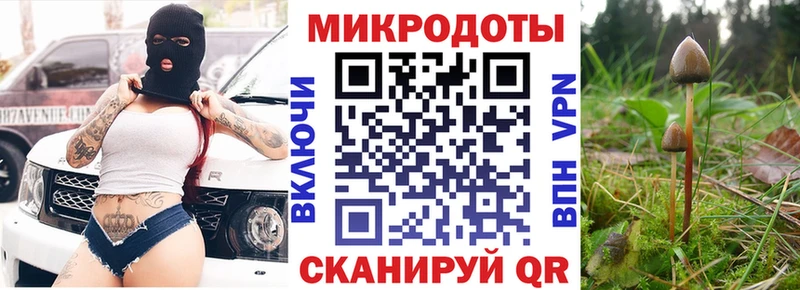 Псилоцибиновые грибы Magic Shrooms Новоульяновск